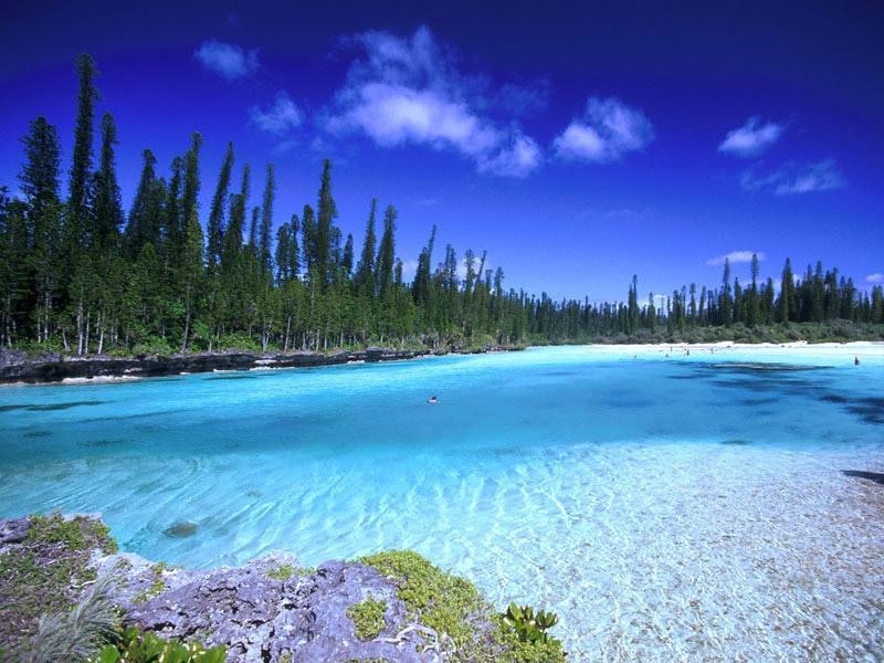 ツアーガイド 接客スタッフ 株式会社トラベルファクトリージャパン