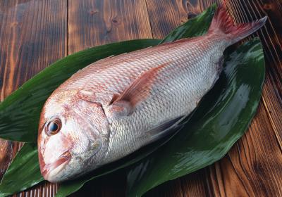 日本空輸鮮魚の鮮魚店 店長候補