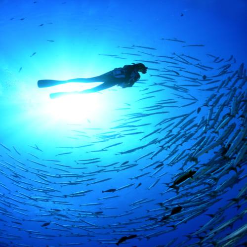 お休みの日は自然の中でリフレッシュ！①