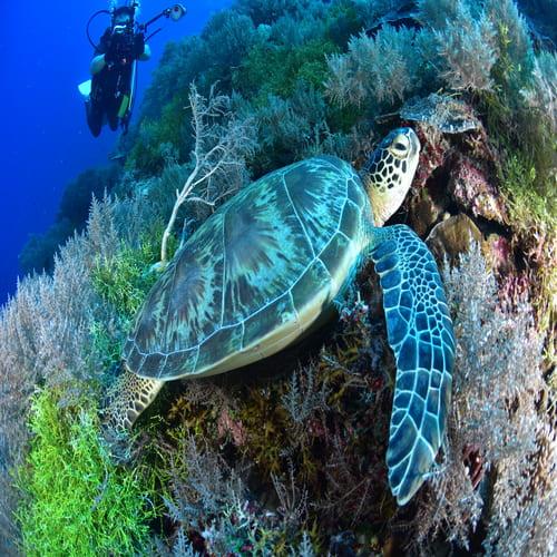 お休みの日は自然の中でリフレッシュ！②