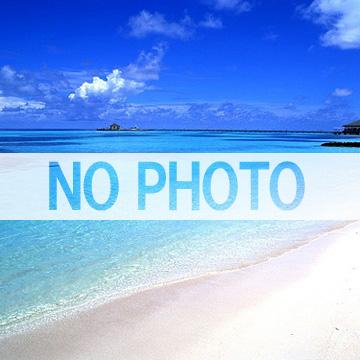 日本語人事スペシャリスト