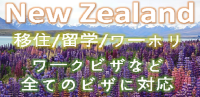 ハンナコンサルタント